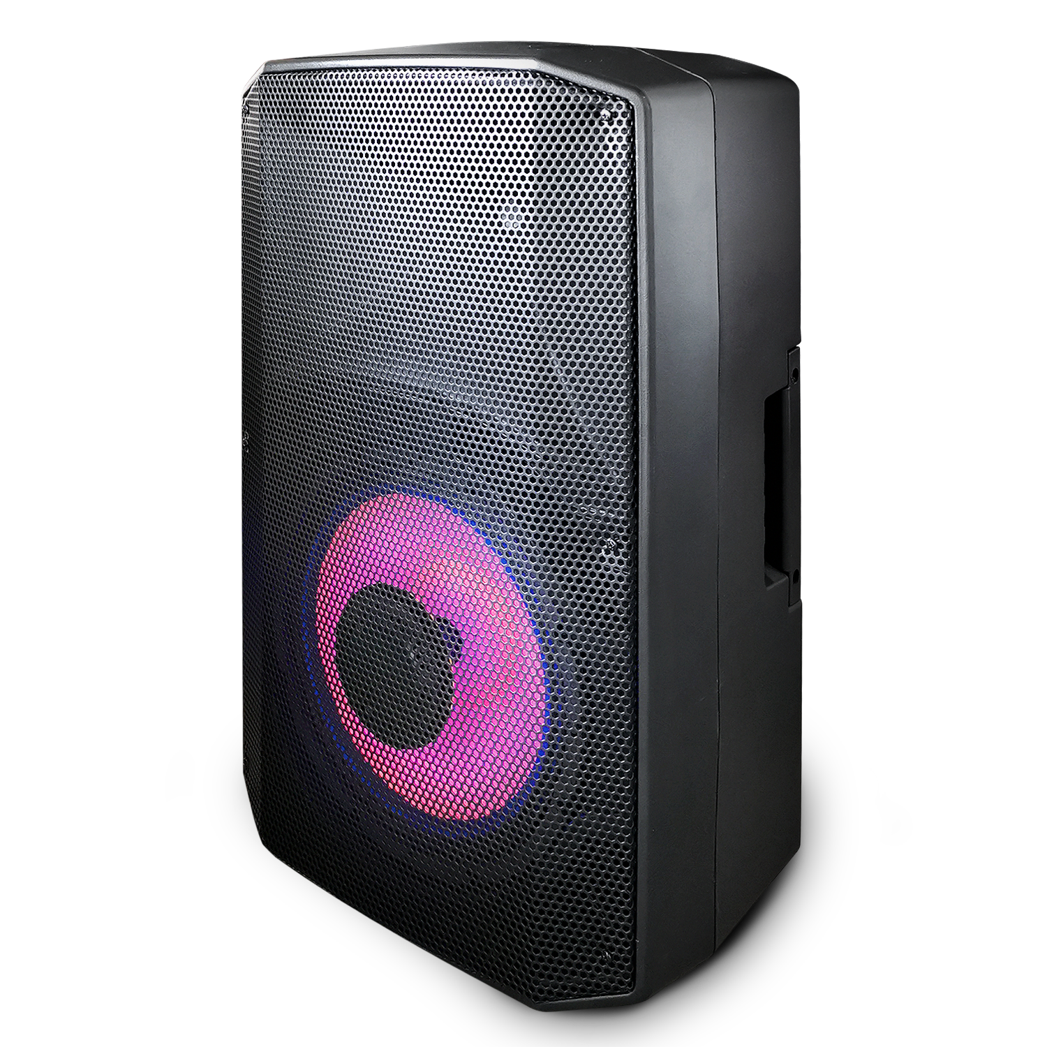 MS-P15BW Moonki Professional Speaker