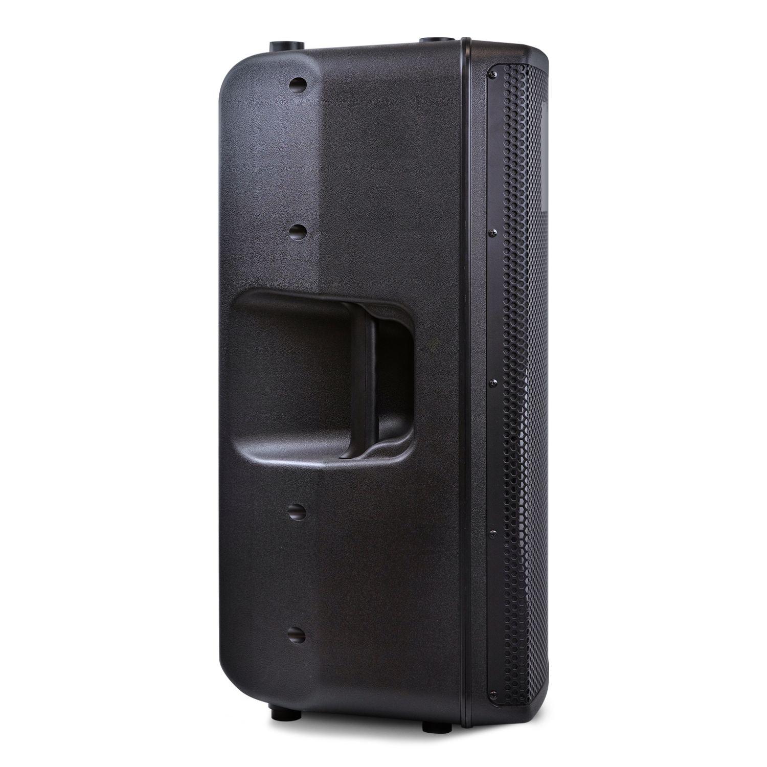 MS-P15BW Moonki Professional Speaker